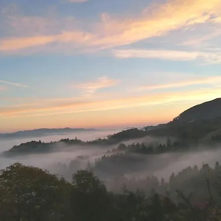 Weinstöckl In Der Südsteiermark *