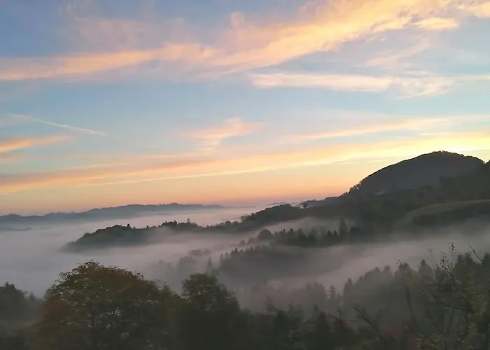Weinstöckl In Der Südsteiermark *