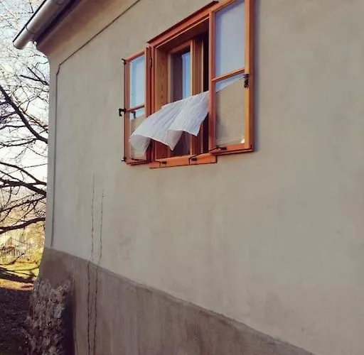 Weinstöckl In Der Südsteiermark *